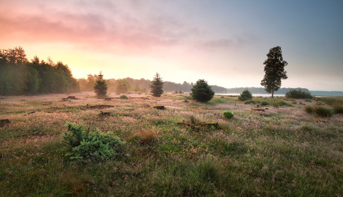 Groepsweekend organiseren in Drenthe: 7 praktische tips